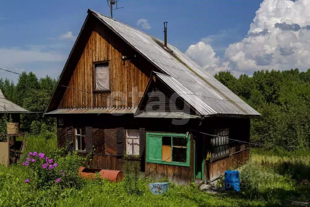 Дом в Кемеровская область, Калтан ул. Некрасова, 47Б (52 м) - Фото 1