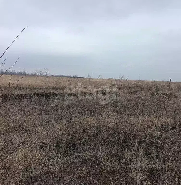 Участок в Курская область, Курский район, Нижнемедведицкий сельсовет, ... - Фото 0