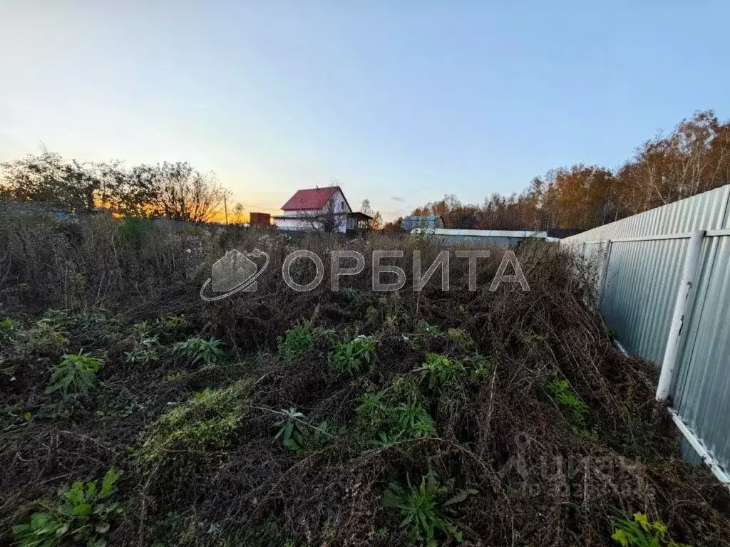 Участок в Тюменская область, Тюмень СОСН Янтарь тер., ул. Полевая (6.7 ... - Фото 2