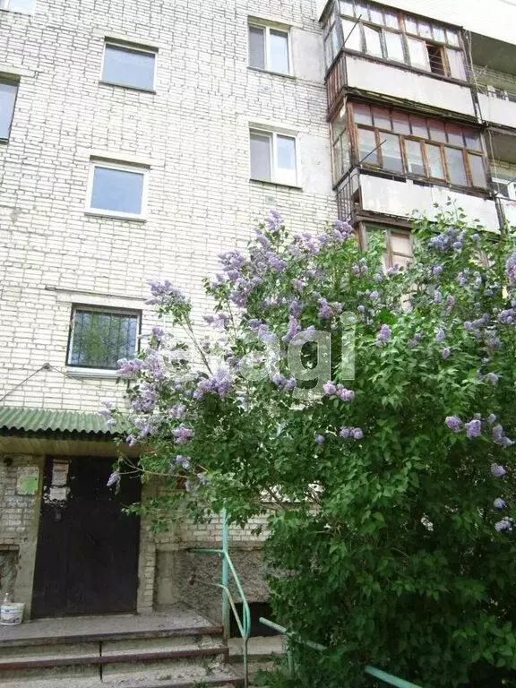 Квартира-студия: Шадринск, улица Бажова, 24 (22.2 м) - Фото 0