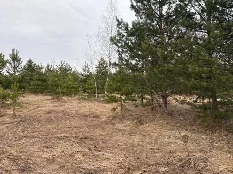 Участок в Московская область, Воскресенск городской округ, д. ... - Фото 1
