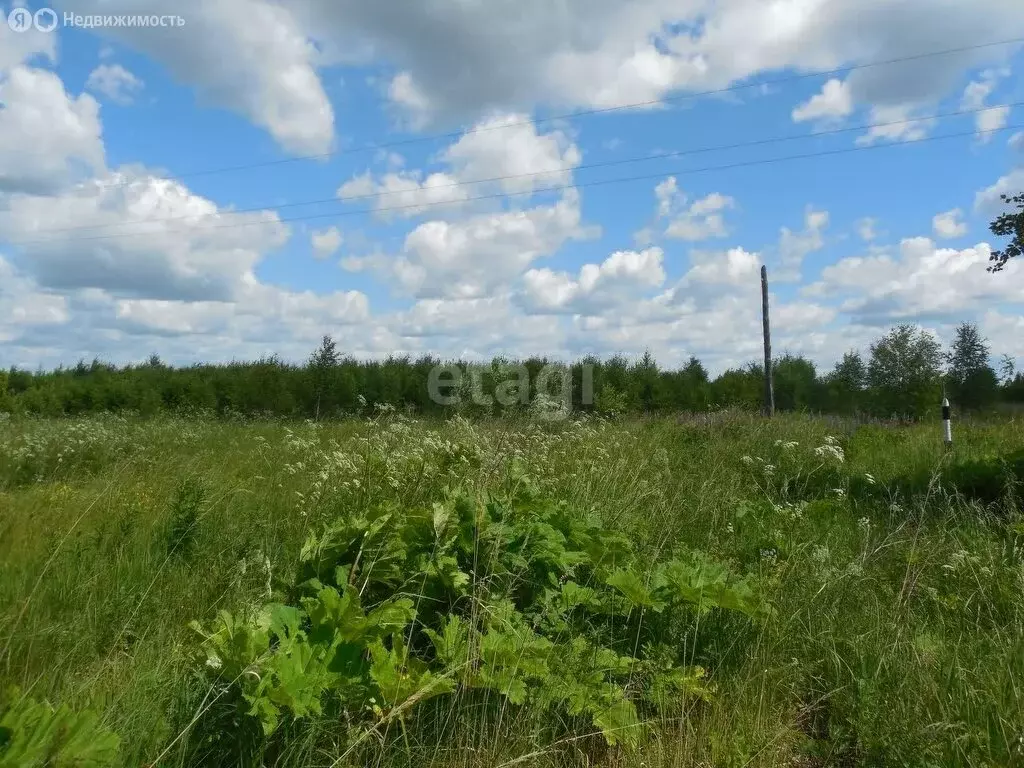 Участок в село Большая Кузьминка, улица Банных (15 м) - Фото 1