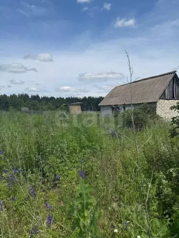 Дом в Саратовская область, Балашовский район, Пинеровское ... - Фото 1