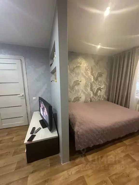 1-к кв. Псковская область, Псков ул. Яна Фабрициуса, 13 (30.0 м) - Фото 1