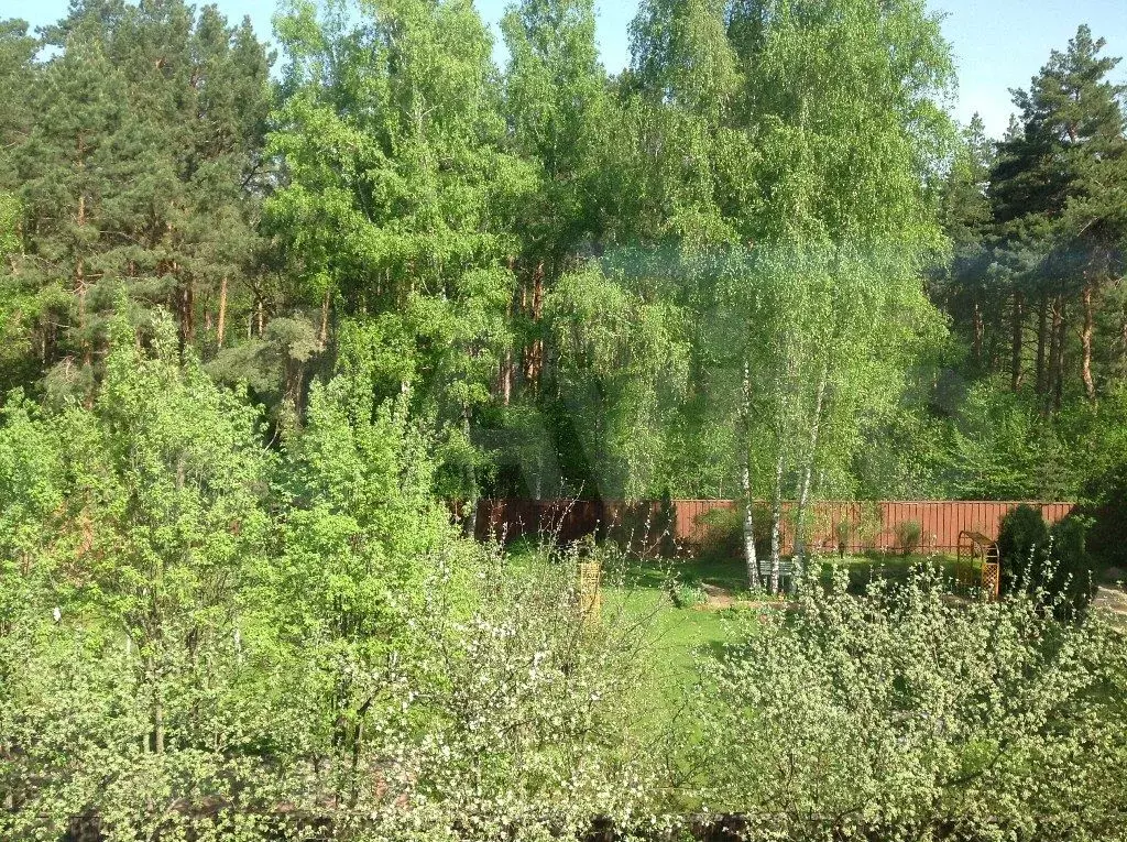 Участок 17 сот. (ИЖС) - Фото 0