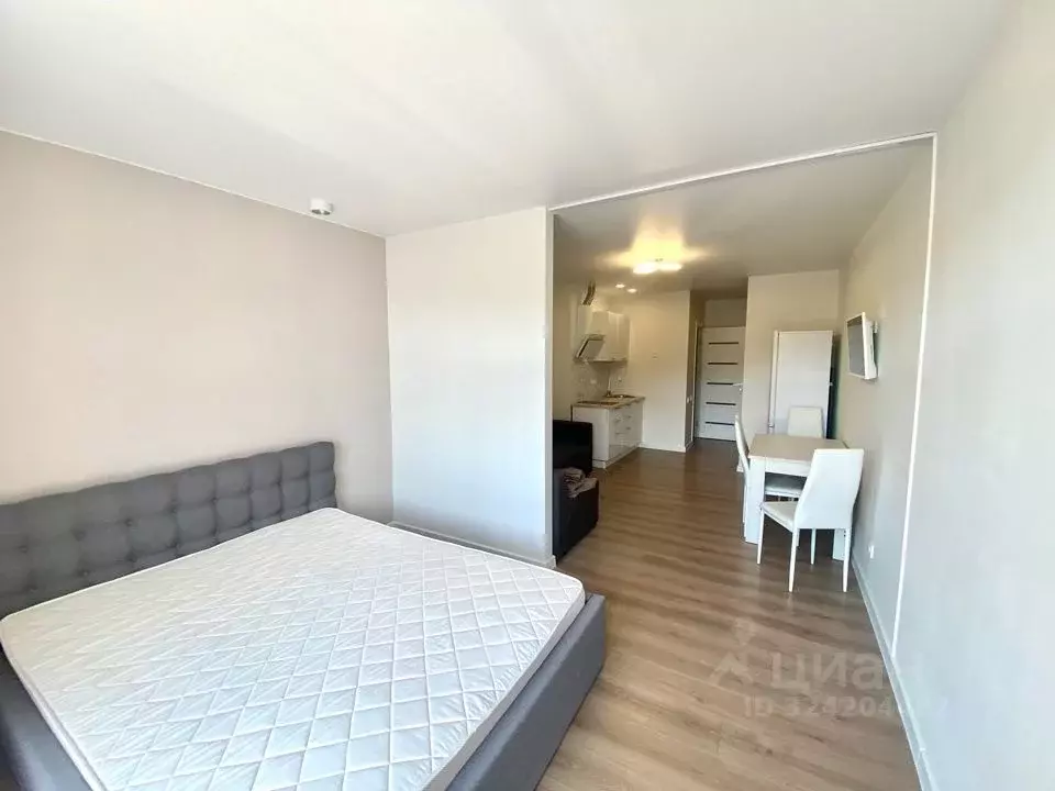 Студия Краснодарский край, Сочи городской округ, Дагомыс пгт ул. ... - Фото 2