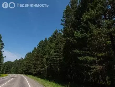 Участок в Иркутский муниципальный округ, ДНТ Серебряный ключ, 6-я ... - Фото 1