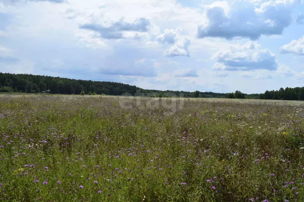 Участок в Калужская область, Перемышльский район, Хотисино с/пос, д. ... - Фото 1