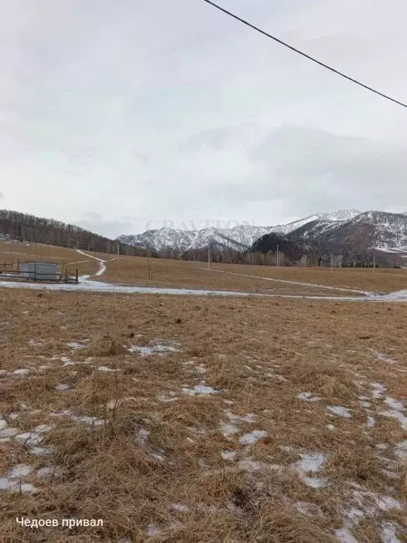 Участок в Алтай, Шебалинский район, с. Черга ул. Солнечная (7.0 сот.) - Фото 1