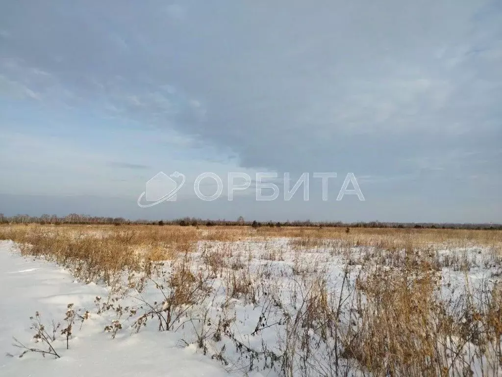 Участок в Тюменская область, Нижнетавдинский район, с. Черепаново ул. ... - Фото 1