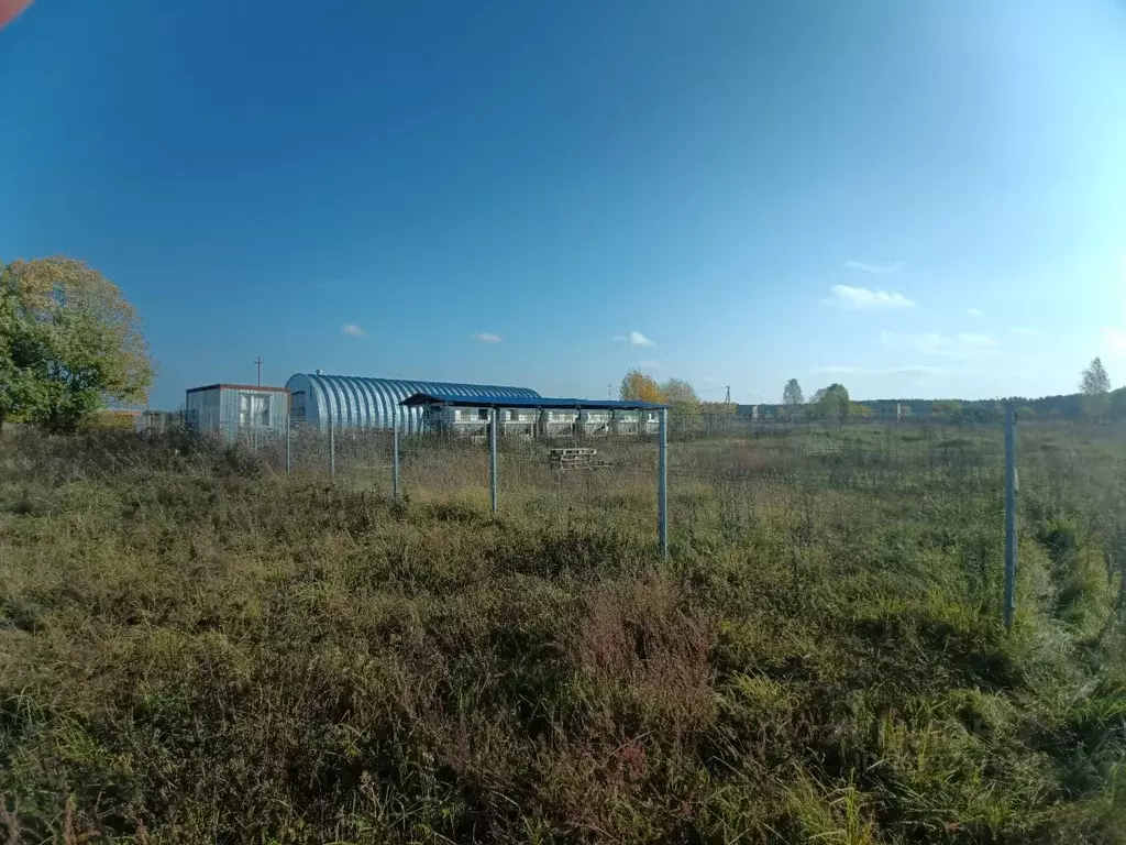 Участок в Новгородская область, Валдайский район, Едровское с/пос, с. ... - Фото 0