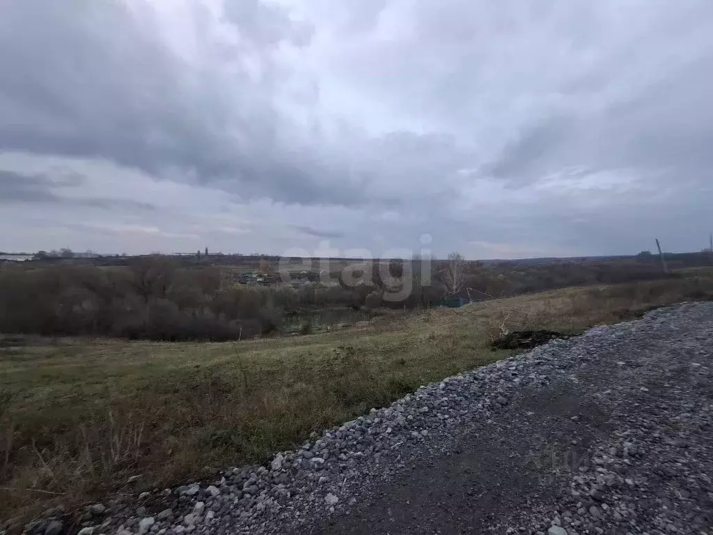 Участок в Воронежская область, Нижнедевицкий район, Верхнетуровское ... - Фото 2