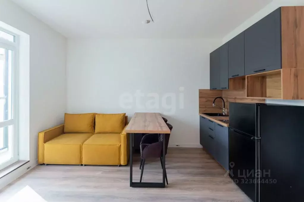 Студия Ленинградская область, Всеволожск ул. Евграфова, 11 (25.8 м) - Фото 1