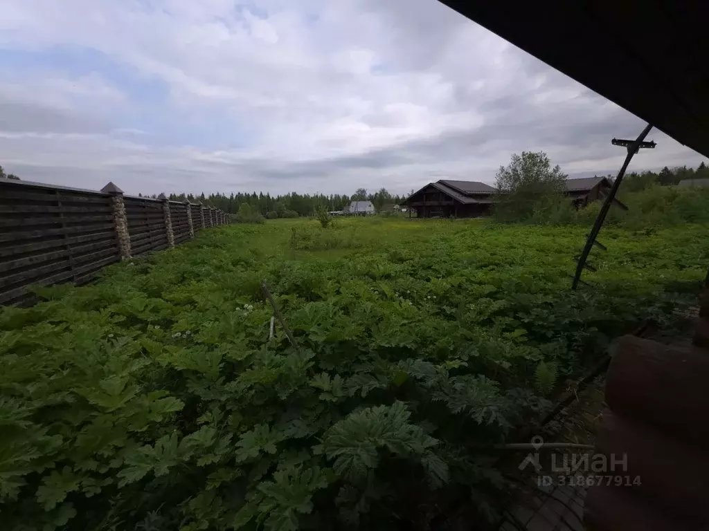 Дом в Московская область, Пушкинский городской округ, д. Луговая ул. ... - Фото 1
