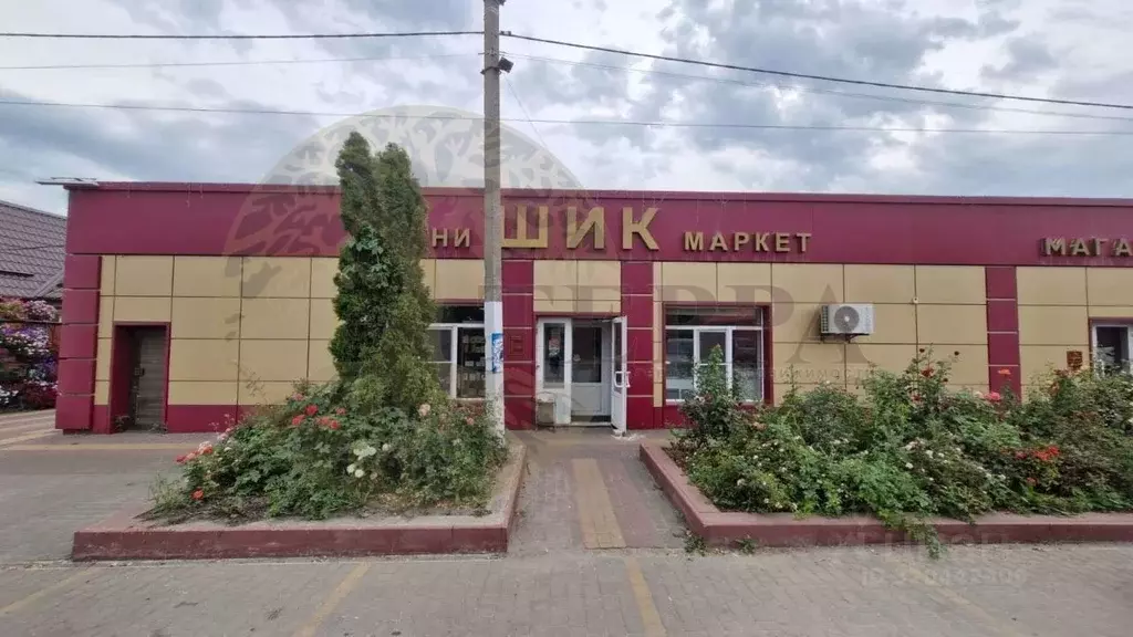 Торговая площадь в Воронежская область, Панино рп ул. 9 Января, 85 ... - Фото 0