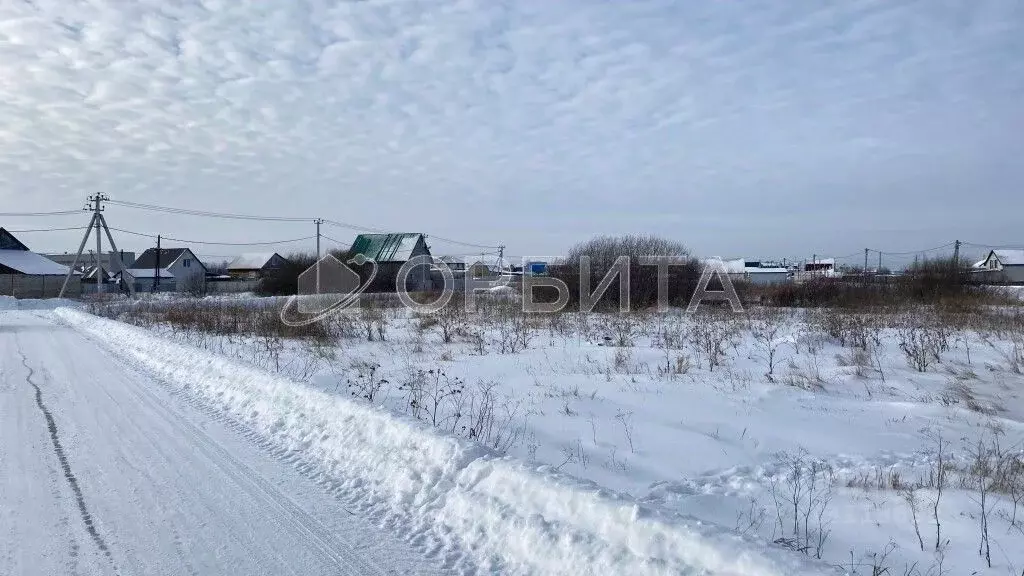 Участок в Тюменская область, Тюменский район, с. Борки Северная ул. ... - Фото 0