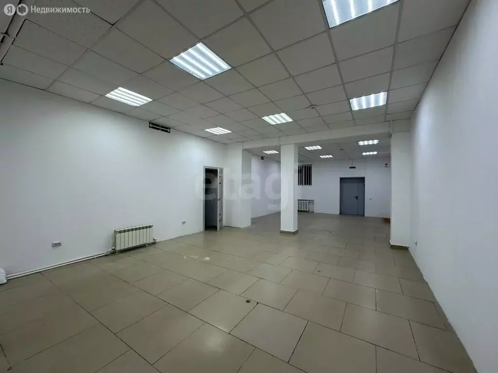 Помещение свободного назначения (113.5 м) - Фото 1