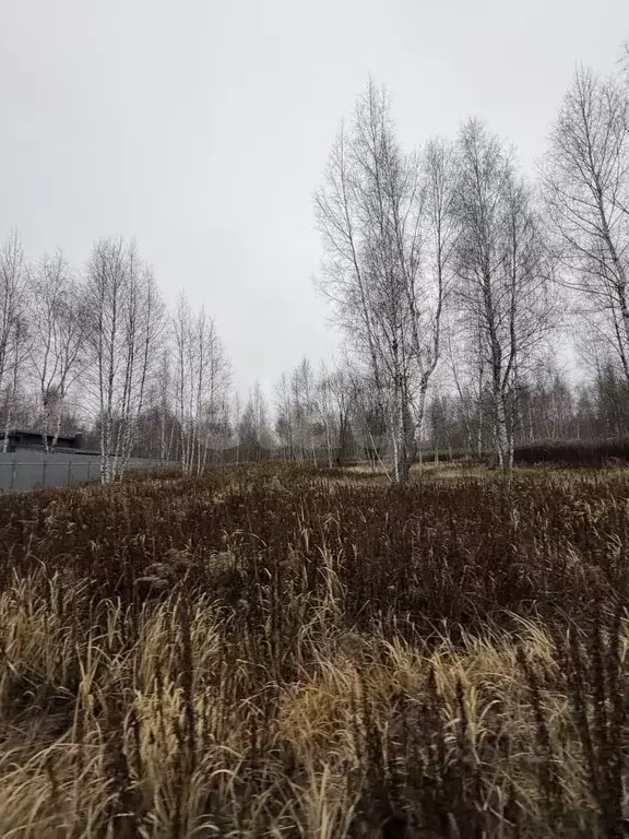 Участок в Тульская область, Тула городской округ, д. Новоселки 57Б/1 ... - Фото 2