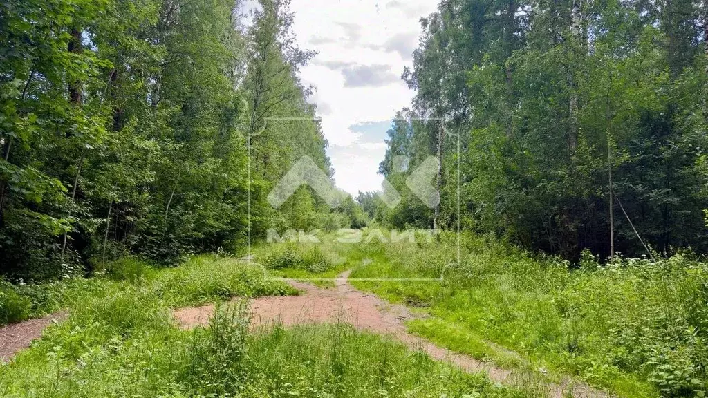 Участок в Санкт-Петербург 2-й Озерковский пер. (9.31 сот.) - Фото 1