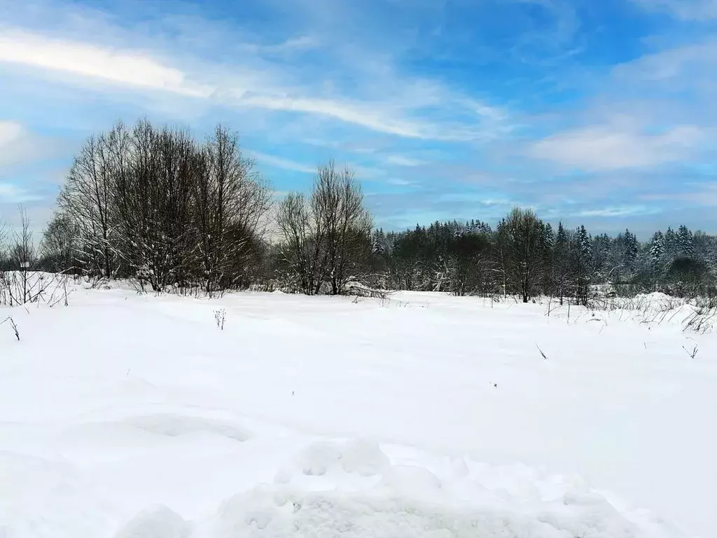 Участок в Московская область, Дмитровский муниципальный округ, Ерыково ... - Фото 1