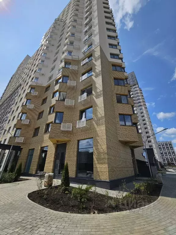 Торговая площадь в Московская область, Ленинский городской округ, д. ... - Фото 1