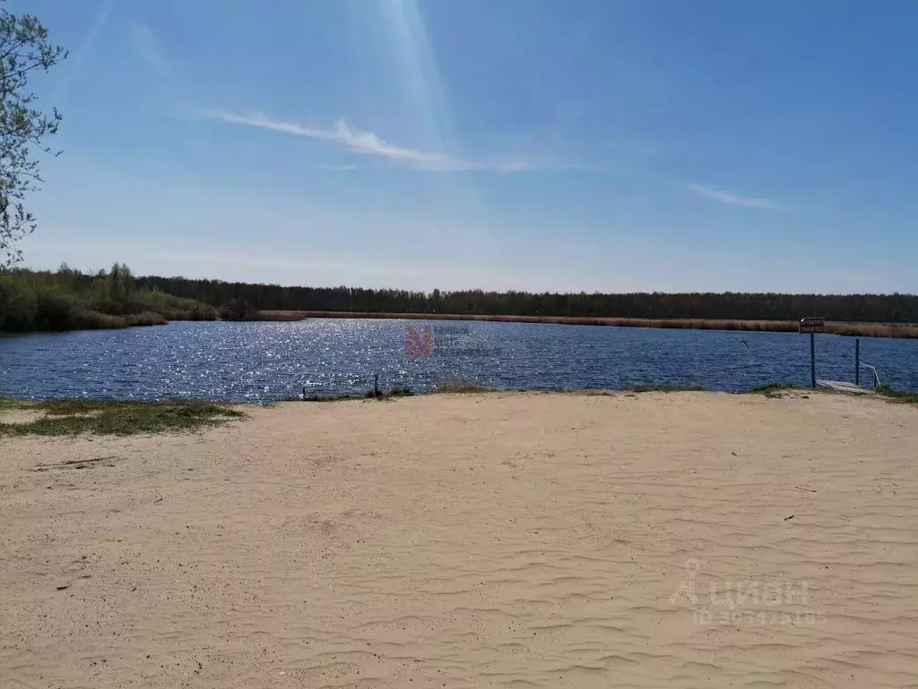 Дом в Тюменская область, Нижнетавдинский район, Лесная сказка СНТ ул. ... - Фото 1