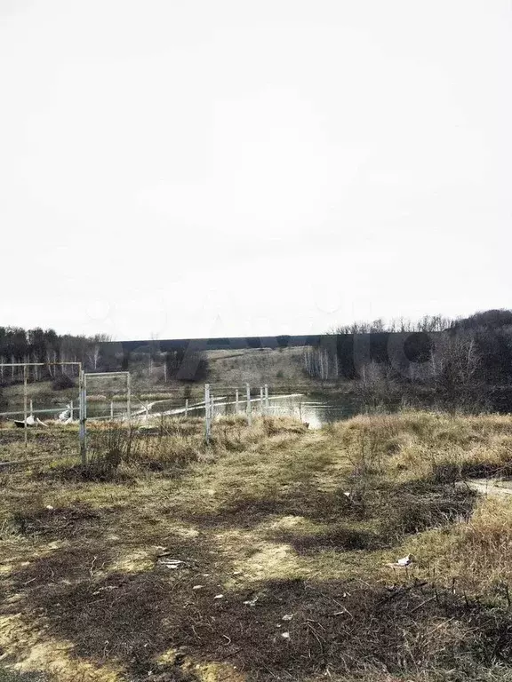 Участок 15 сот. (ИЖС) - Фото 1