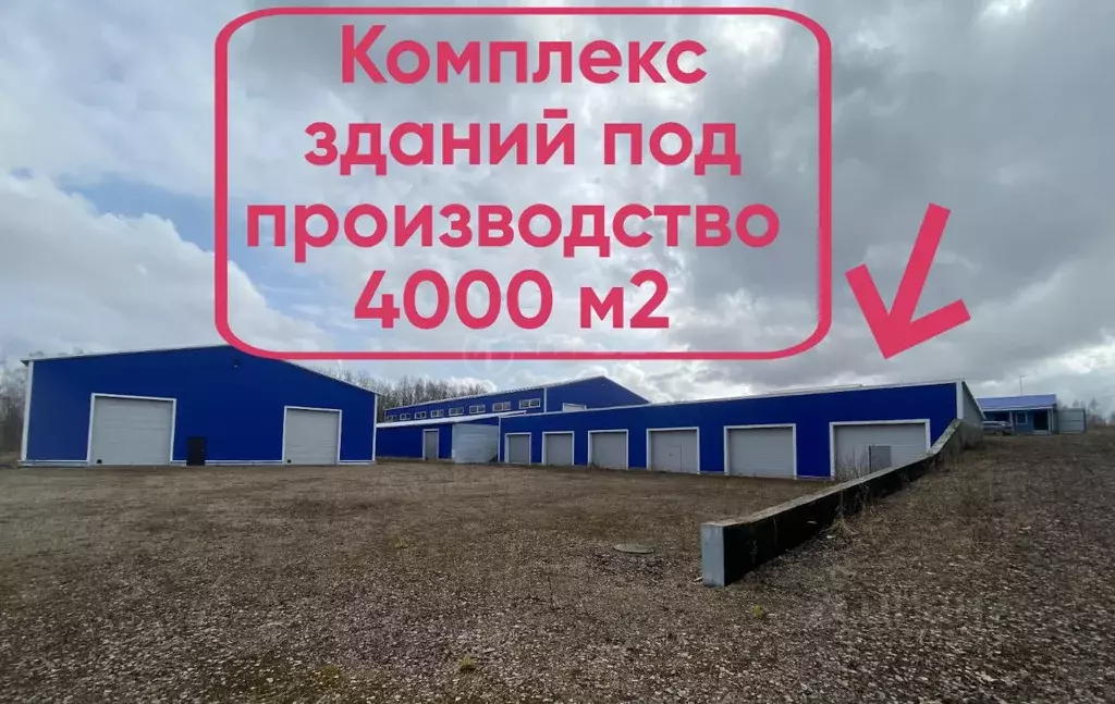 Производственное помещение в Калужская область, Село Ферзиково с/пос, ... - Фото 1