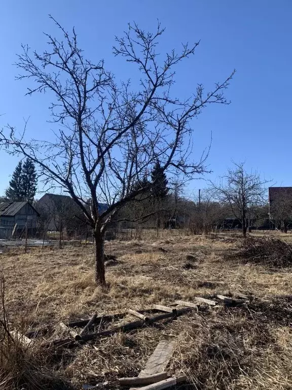 Участок в Калужская область, Перемышльский район, Большие Козлы с/пос, ... - Фото 2