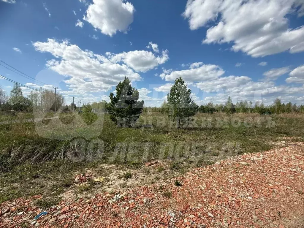 Участок в Тюменская область, Нижнетавдинский муниципальный округ, ... - Фото 2