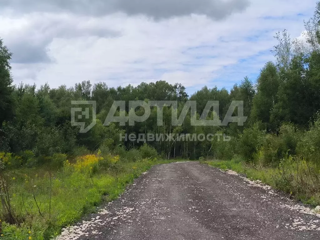 Участок в Нижегородская область, Богородский муниципальный округ, д. ... - Фото 1