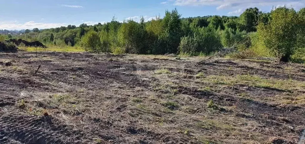 Участок в Томская область, Томский район, с. Корнилово ул. Жирова ... - Фото 1