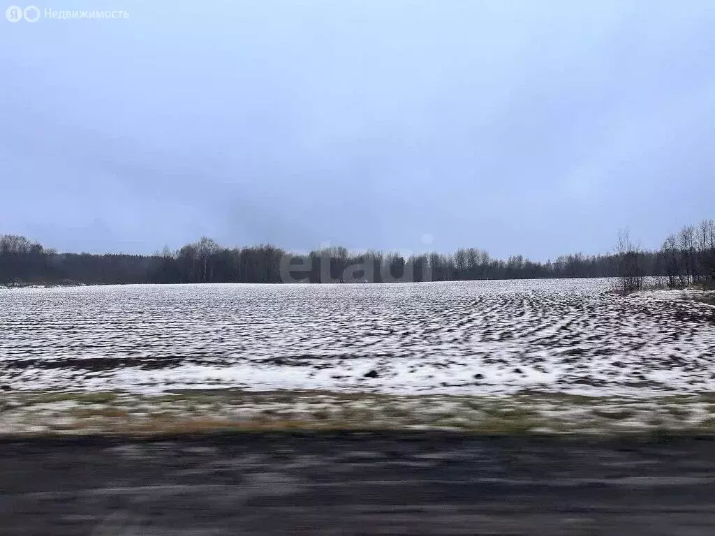 Участок в Ярославская область, Тутаевский муниципальный округ, деревня ... - Фото 1