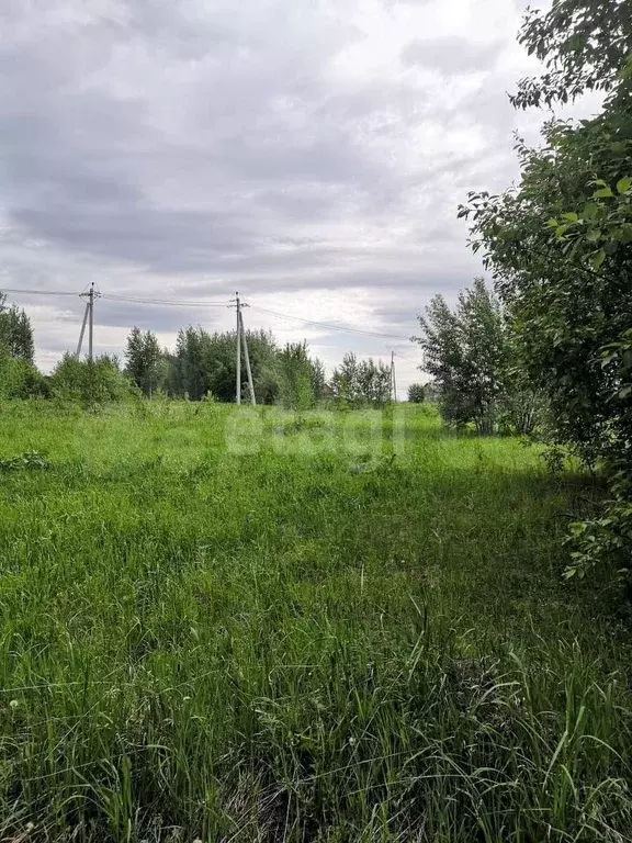 Участок 15 сот. (СНТ, ДНП) - Фото 0