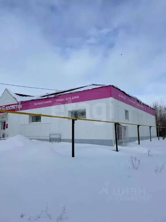 Торговая площадь в Оренбургская область, Домбаровский поссовет, пос. ... - Фото 2