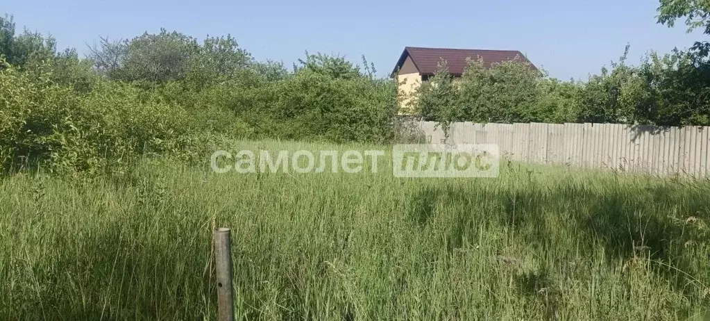 Участок в Белгородская область, Яковлевский муниципальный округ, с. ... - Фото 2