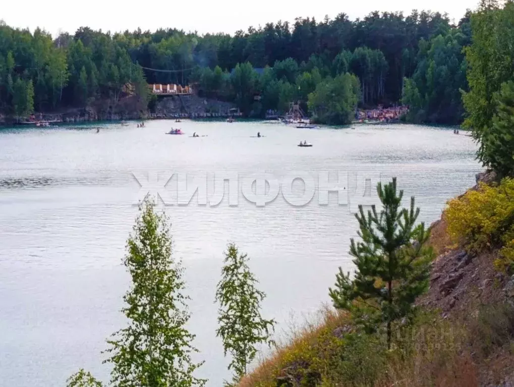 Участок в Новосибирская область, Ордынский район, д. Абрашино  (9.0 ... - Фото 1