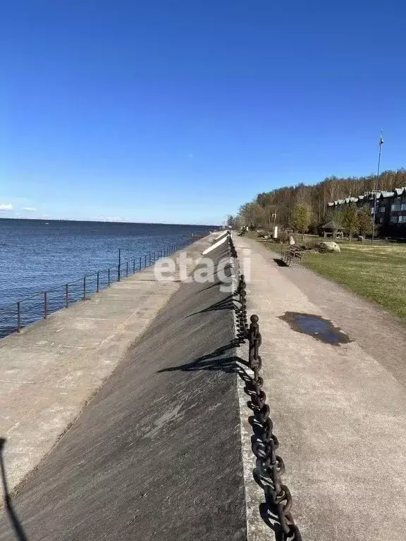 Участок в Санкт-Петербург, Санкт-Петербург, Петергоф ул. Пионерская, ... - Фото 0