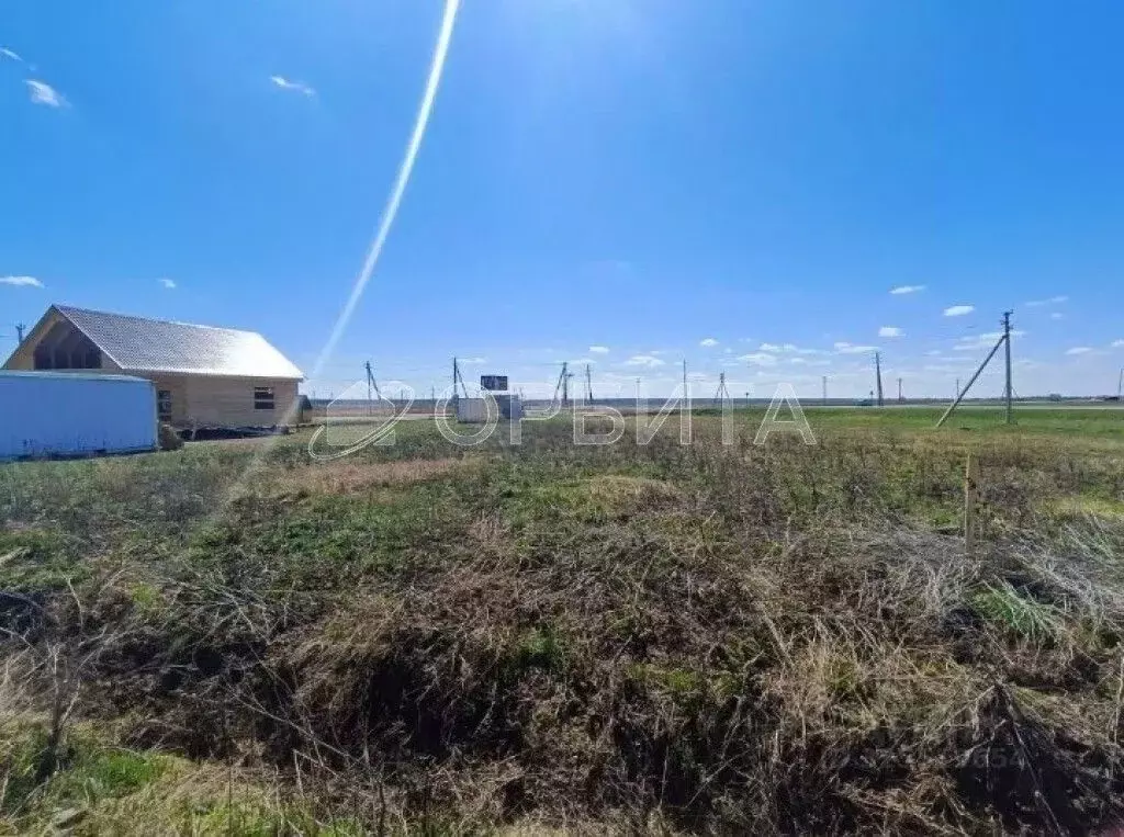 Участок в Тюменская область, Тюменский муниципальный округ, с. Чикча  ... - Фото 1