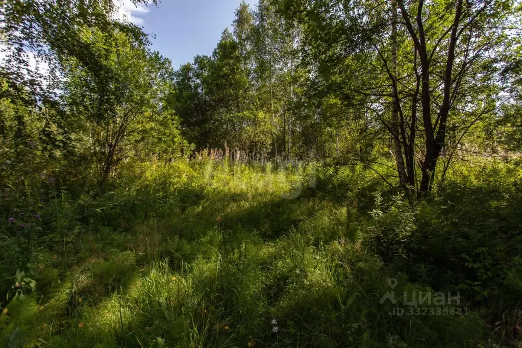 Участок в Тюменская область, Тобольск Микрорайон усадьба,  (9.4 сот.) - Фото 1