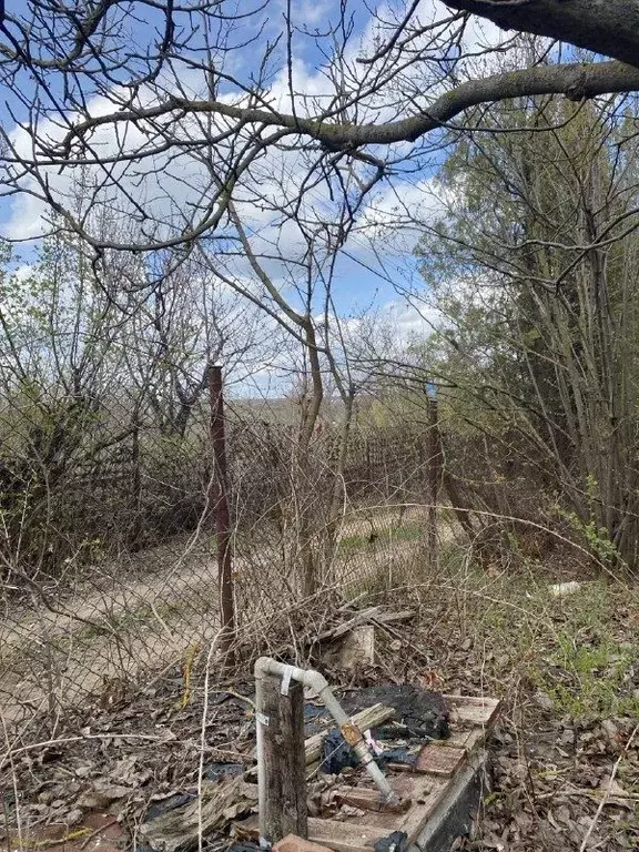 Участок в Ростовская область, Неклиновский район, с. Синявское, ... - Фото 2