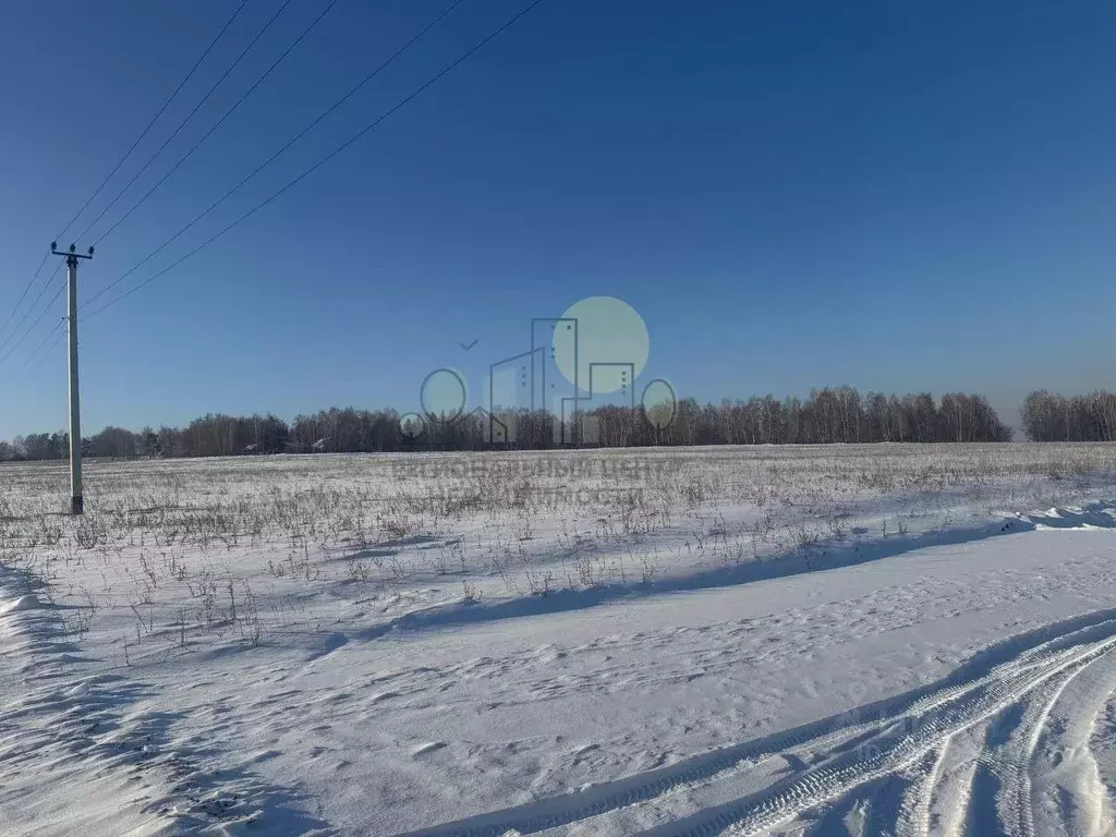 Участок в Иркутская область, Иркутский муниципальный округ, с. ... - Фото 1