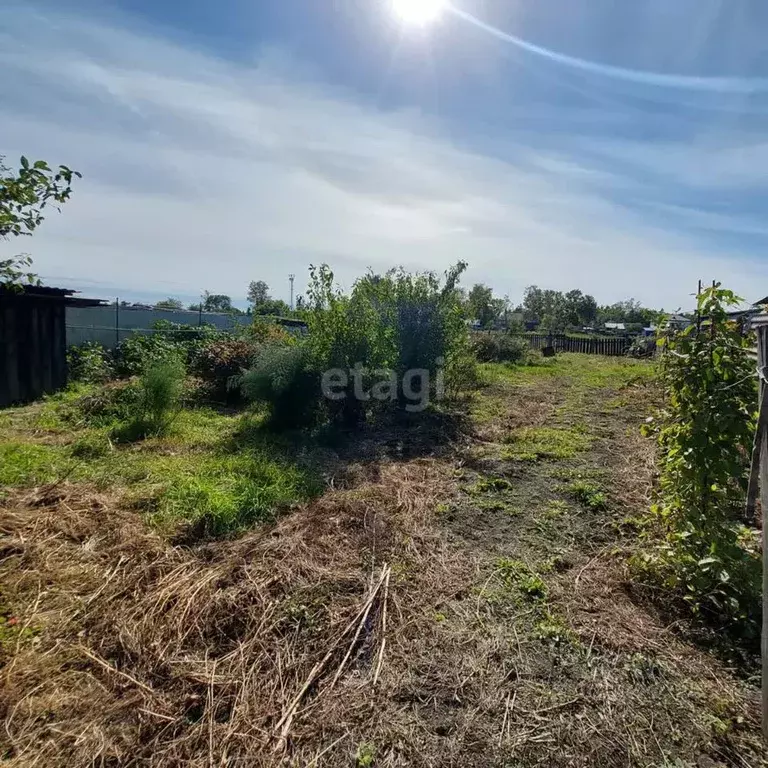 Участок в Амурская область, с. Ивановка ул. Ленина (17.0 сот.) - Фото 0