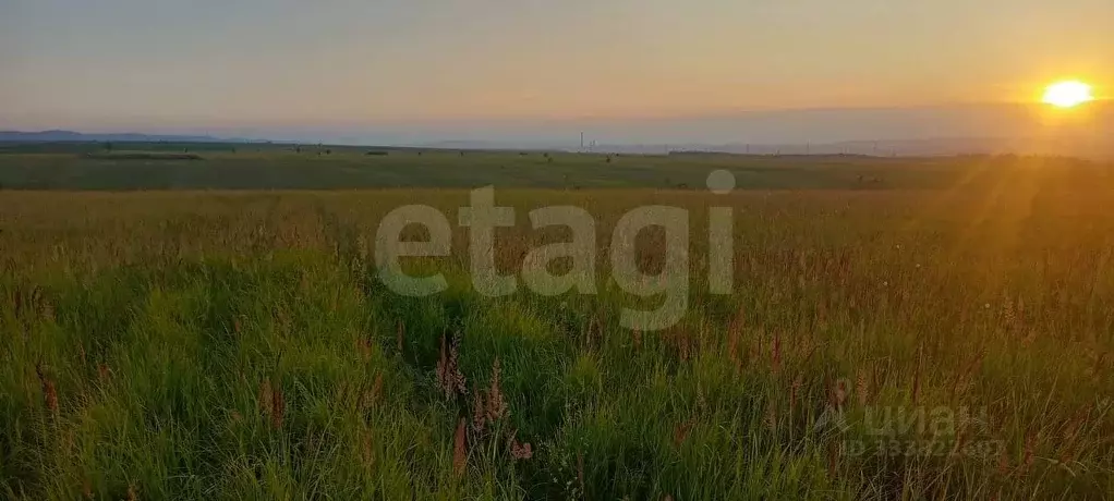 Участок в Красноярский край, Красноярск городской округ, Березовка ... - Фото 1