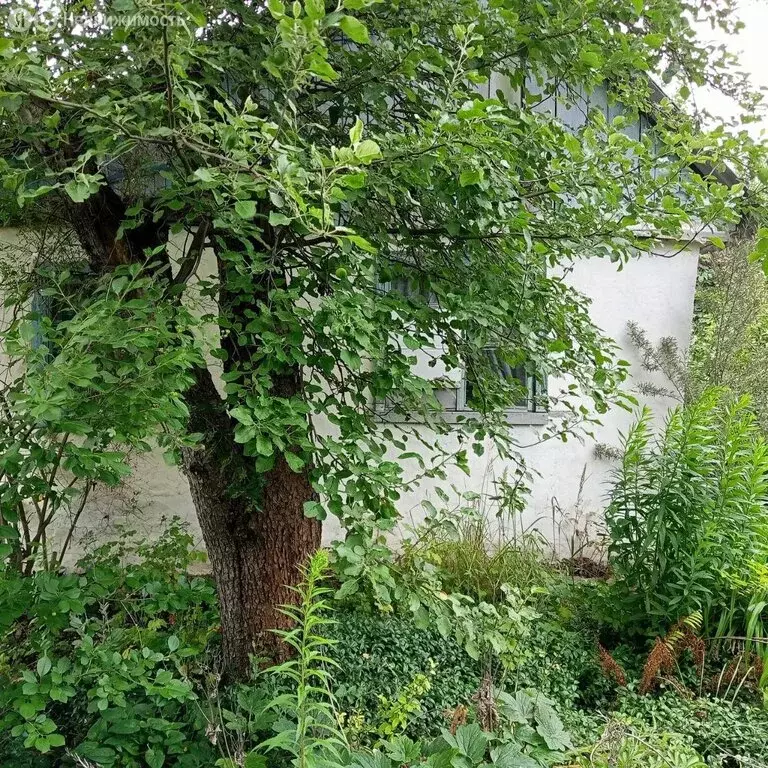 Дом в Воронеж, СНТ Садовод ВАСО, 3-я улица (20 м) - Фото 1
