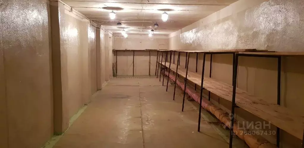 Склад в Воронежская область, Воронеж Южно-Моравская ул., 4 (11 м) - Фото 2