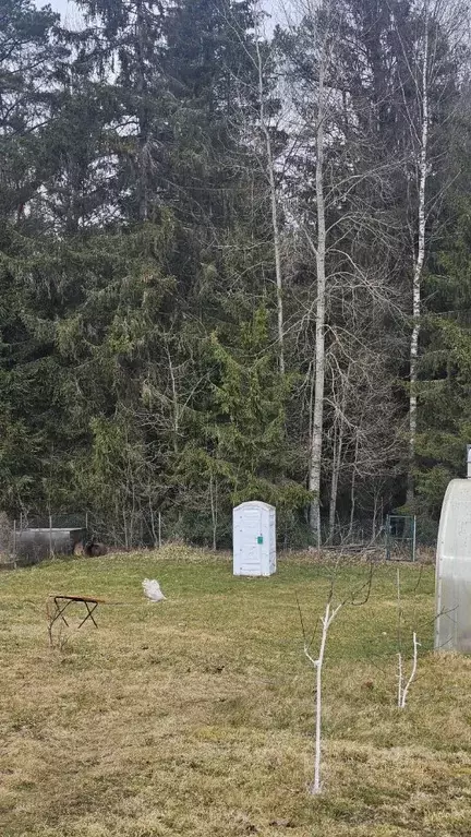 Дом в Ленинградская область, Лужский район, Скребловское с/пос, д. ... - Фото 2