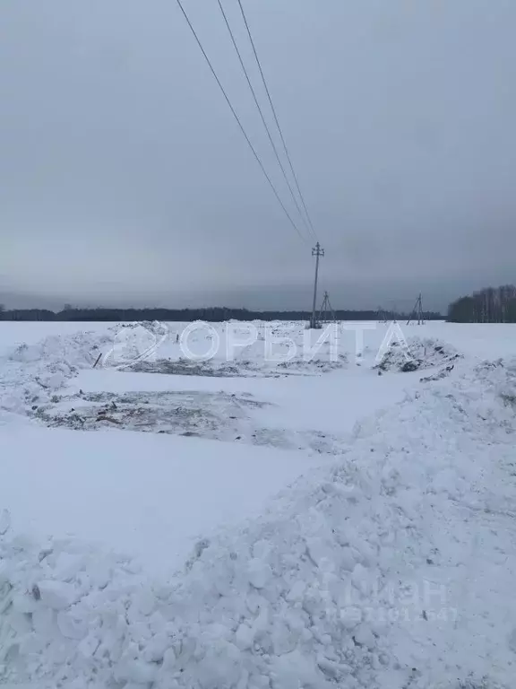 Участок в Тюменская область, Тюменский район, с. Горьковка Сибирская ... - Фото 1