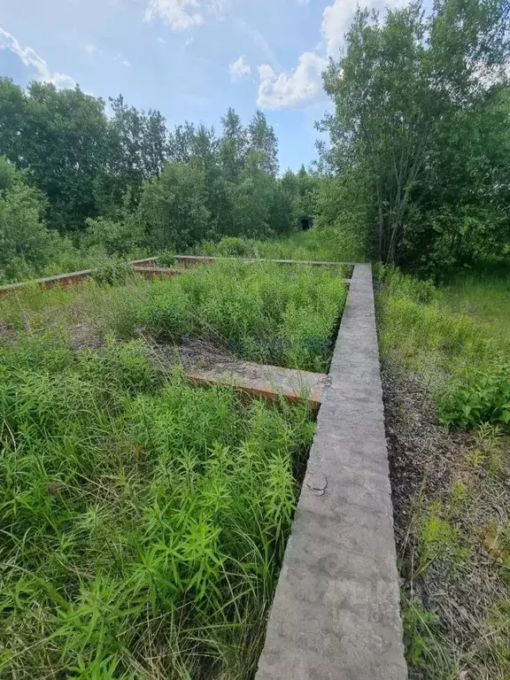 Участок в Нижегородская область, Кстовский муниципальный округ, д. ... - Фото 0