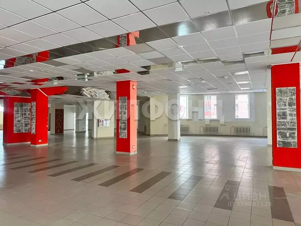 Торговая площадь в Архангельская область, Архангельск ул. Карла ... - Фото 2